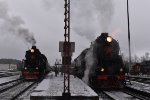 Ruskaela Express/ ???????? ????????